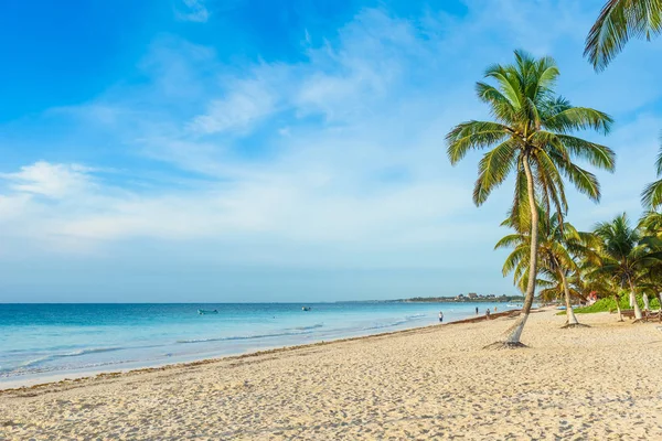 Plażę Playa Paraiso Wschodzie Słońca Tulum Meksyk — Zdjęcie stockowe