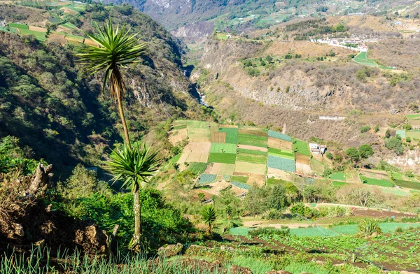 Highlands of Guatemala, close to city of Quetzaltenango, Xela, Guatemala.