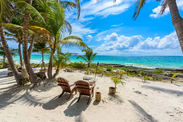 Chairs Palm Trees Paradise Beach Tropical Resort Quintana Roo Mexico — Stock Photo, Image