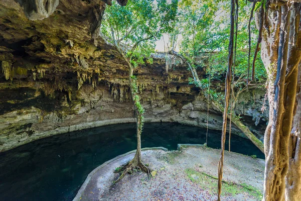 Cenote Suytun Valladolid Yucatan Mexico — Stock Photo, Image