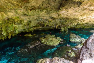 Hipotermik Dos Ojos Quintana Roo, Meksika için. Bu hipotermik Tulum, Meksika Yucatan Yarımadası'nda yakınında bulunuyor.