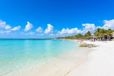 Cennet Turtle Beach adlı Akumal, Quintana Roo, Meksika.