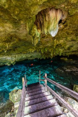Hipotermik Dos Ojos Quintana Roo, Meksika için. Yüzme ve açık su dalış insanlar. Bu hipotermik Tulum, Meksika Yucatan Yarımadası'nda yakınında bulunuyor.
