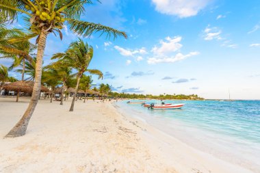 Cennet Turtle Beach adlı Akumal, Quintana Roo, Meksika.