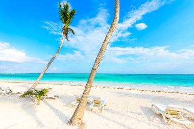 Güneş şezlong Akumal Beach, Quintana Roo, Meksika.