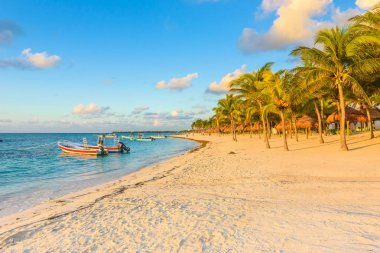 Akumal beach, cennet Riviera Maya, Karayip defne güneş doğarken