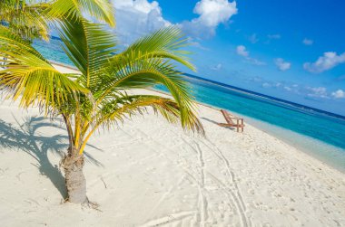 Belize Cayes - küçük tropikal Adası'nda Barrier Reef paradise beach, Karayip Denizi, Belize, Orta Amerika ile