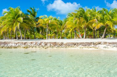 Belize Cayes - küçük tropikal Adası'nda Barrier Reef paradise beach, Karayip Denizi, Belize, Orta Amerika ile
