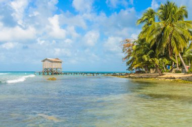 Tütün Caye - Barrier Reef ile Cennet plaj, Karayip Denizi, Belize, Orta Amerika, küçük tropik ada.