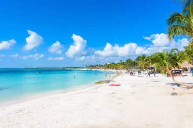 Cennet Turtle Beach adlı Akumal, Quintana Roo, Meksika.
