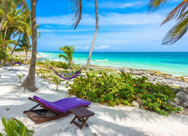 Liggstolar För Strand Och Hängmatta Träden Paradise Beach Quintana Roo — Stockfoto