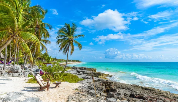 Stolar Palmerna Paradise Beach Tropical Resort Quintana Roo Mexiko — Stockfoto