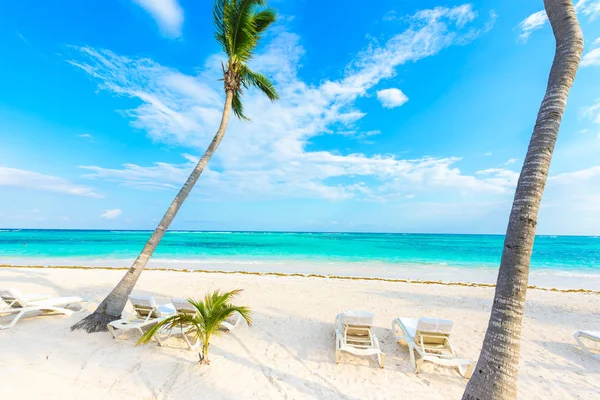 Sun Loungers Akumal Beach Quintana Roo Mexico — Stock Photo, Image