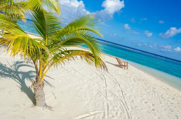 Belize Cayes Pequena Ilha Tropical Barreira Corais Com Praia Paradisíaca — Fotografia de Stock