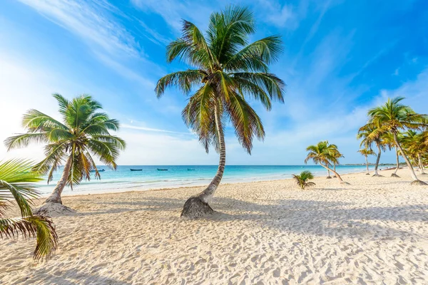 Plażę Playa Paraiso Wschodzie Słońca Tulum Meksyk — Zdjęcie stockowe