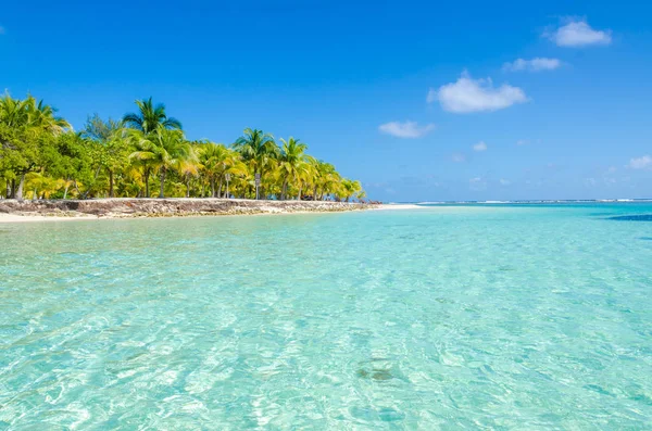 South Water Caye Piccola Isola Tropicale Barriera Corallina Con Spiaggia — Foto Stock