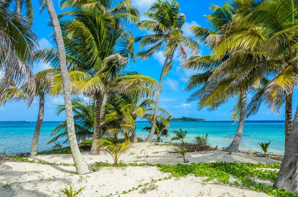 Cennet Plaj Adası Carrie Yay Cay Alan Istasyonu Karayip Denizi — Stok fotoğraf