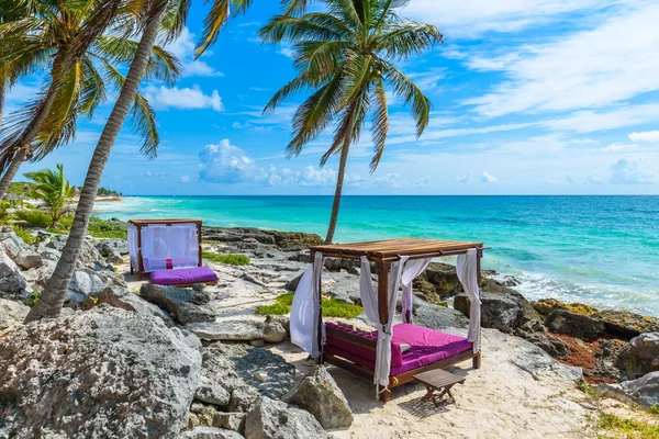 Łóżka Plażowe Pod Palmami Plaży Paradise Tropical Resort Karaibskim Wybrzeżu — Zdjęcie stockowe