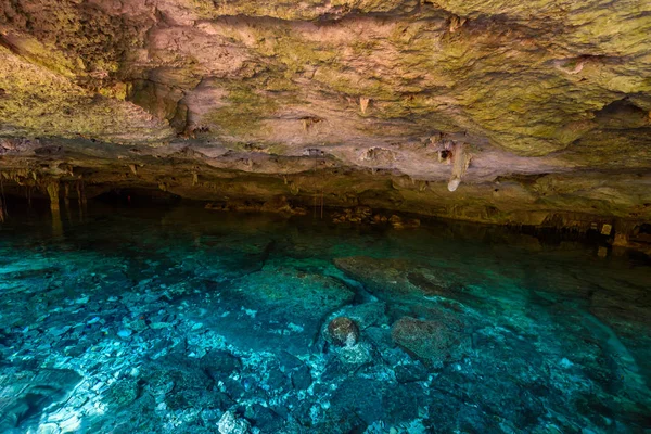 Cenote Dos Ojos Quintana Roo Mexico Deze Cenote Ligt Tulum — Stockfoto