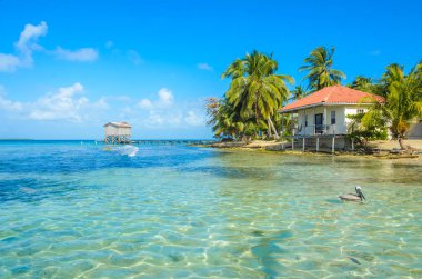 Tütün Caye - Barrier Reef ile Cennet plaj, Karayip Denizi, Belize, Orta Amerika, küçük tropik adada bungalovlar.