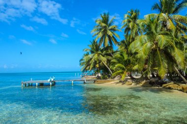 Tütün Caye - Barrier Reef ile Cennet plaj, Karayip Denizi, Belize, Orta Amerika, küçük tropik adada ahşap iskele