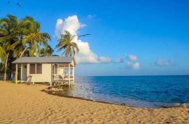 Tütün Caye - bungalov Barrier Reef ile Cennet plaj, Karayip Denizi, Belize, Orta Amerika, küçük tropik adada