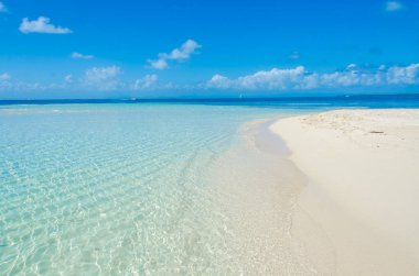 Belize Cayes - küçük tropikal Adası'nda Barrier Reef paradise beach, Karayip Denizi, Belize, Orta Amerika ile.