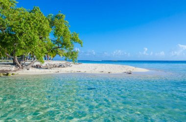 Güney su Caye - Barrier Reef ile Cennet plaj, Karayip Denizi, Belize, Orta Amerika, küçük tropik ada.