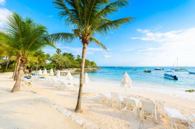 Cennet Turtle Beach adlı Akumal, Quintana Roo, Meksika.