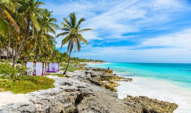 Cennet plaj tropikal Resort Quintana Roo, Meksika, Karayipler kıyısında palmiye ağaçlarının altında Beach yataklar.