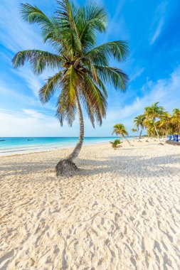 Playa Paraiso beach adlı gündoğumu, Tulum, Meksika.