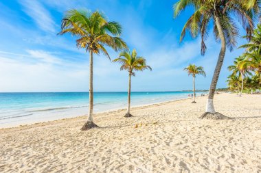 Playa Paraiso beach adlı gündoğumu, Tulum, Meksika.