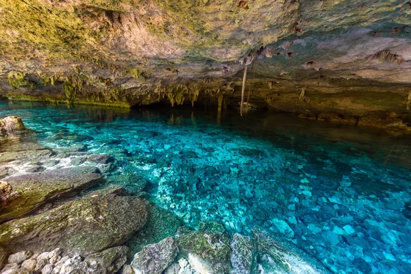 Cenote Dos Ojos Quintana Roo Mexico Cenote Located Close Tulum — Stock Photo, Image