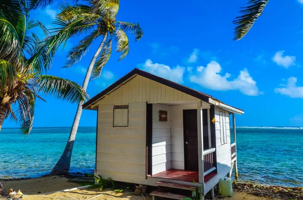 Tobacco Caye Bungalow Small Tropical Island Barrier Reef Paradise Beach — Stock Photo, Image