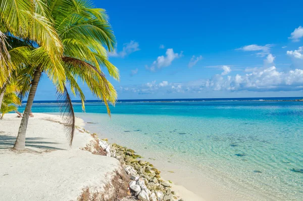 Jižní Vodní Caye Malý Tropický Ostrov Bariérovém Útesu Paradise Beach — Stock fotografie