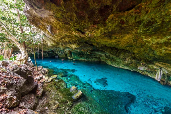 Cenote Dos Ojos Quintana Roo Meksyk Ten Cenote Znajduje Się — Zdjęcie stockowe
