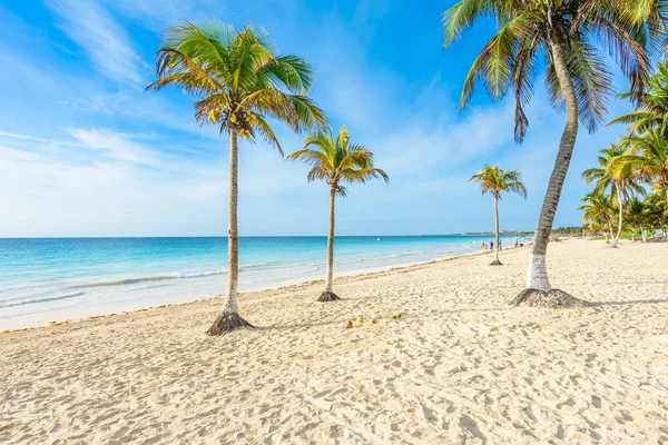 Playa Paraiso Strandra Napkeltekor Tulum Mexikó — Stock Fotó