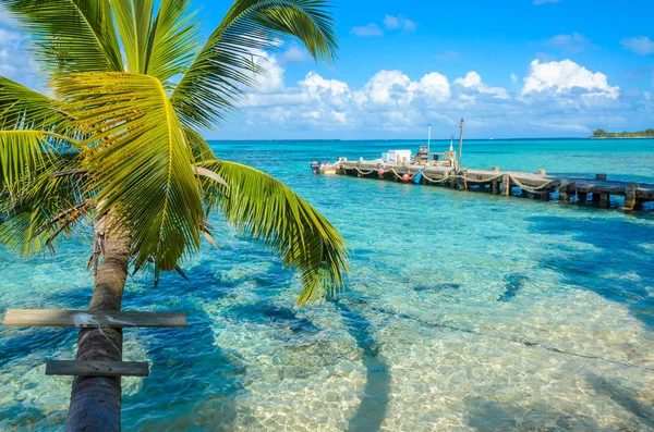Rajská Pláž Ostrově Carrie Bow Cay Pole Station Karibské Moře — Stock fotografie