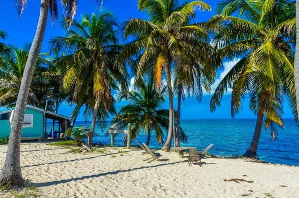 Paradise Strand Sziget Carrie Cay Állomás Területén Karib Tenger Belize — Stock Fotó