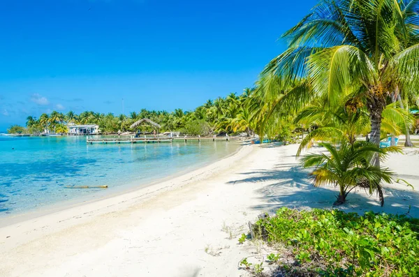 South Water Caye Small Tropical Island Barrier Reef Caribbean Sea — Stock Photo, Image