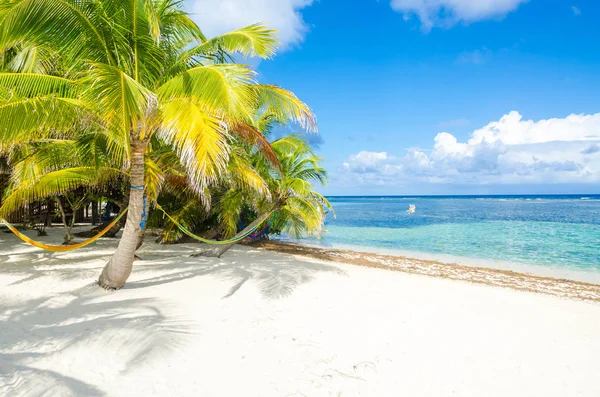 Cayos Belice Pequeña Isla Tropical Barrera Coral Con Playa Paradisíaca —  Fotos de Stock