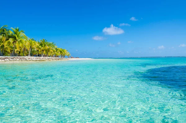 Caye パラダイス ビーチ カリブ海 ベリーズ 中央アメリカの堡礁の小さな熱帯の島 — ストック写真