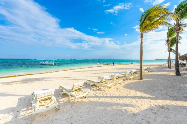 Solstolar Akumal Beach Quintana Roo Mexiko — Stockfoto