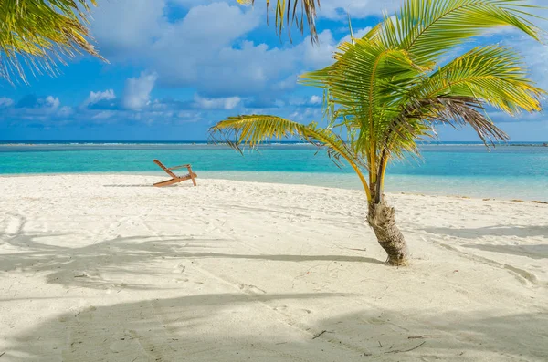 South Water Caye Small Tropical Island Barrier Reef Paradise Beach — Stock Photo, Image