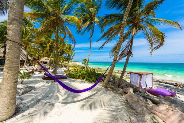 Łóżka Plażowe Hamak Pod Drzewami Plaży Paradise Quintana Roo Meksyk — Zdjęcie stockowe