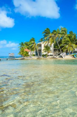 Tütün Caye - Barrier Reef ile Cennet plaj, Karayip Denizi, Belize, Orta Amerika, küçük tropik adada bungalovlar.