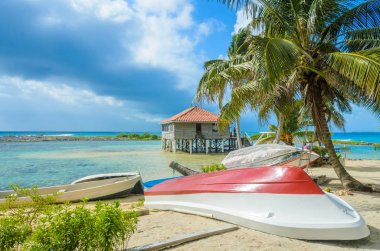 Tütün Caye - Barrier Reef ile Cennet plaj, Karayip Denizi, Belize, Orta Amerika, küçük tropik ada.