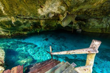 Hipotermik Dos Ojos Quintana Roo, Meksika için. Yüzme ve şnorkel masmavi suda insanlar. Bu hipotermik Tulum, Meksika Yucatan Yarımadası'nda yakınında bulunuyor.