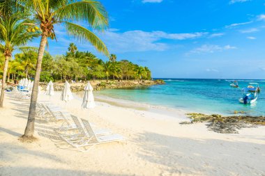 Cennet Turtle Beach adlı Akumal, Quintana Roo, Meksika.