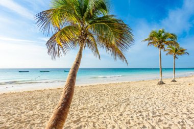 Playa Paraiso beach adlı gündoğumu, Tulum, Meksika.